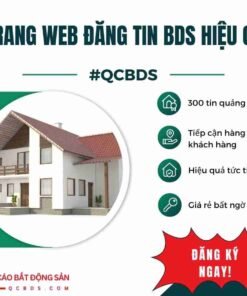 trang web dang tin bds hieu qua