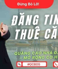 dang tin cho thue can ho 1