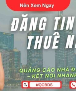 dang tin cho thue nha gia re