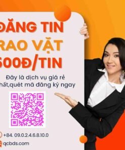 dich vu dang tin rao vat 1