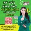 Quảng cáo bất động sản