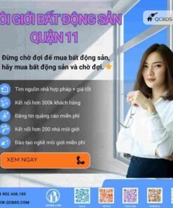 Môi giới bất động sản Quận 11