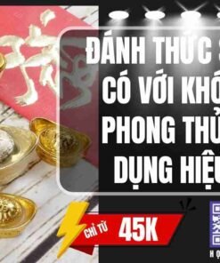 danh thuc su giau co voi khoa hoc phong thuy ung dung hieu qua