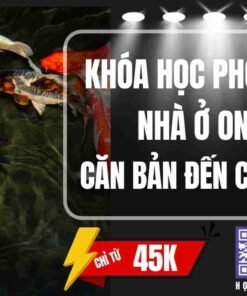 khoa hoc phong thuy nha o online can ban den chuyen sau