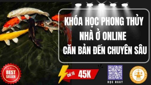 khoa hoc phong thuy nha o online can ban den chuyen sau