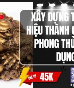 khoa hoc xay dung thuong hieu thanh cong voi phong thuy ung dung