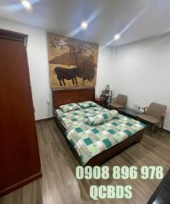 Đội ngũ tư vấn môi giới nhà đất Quận 10 am hiểu thị trường khu vực Lý Thường Kiệt.