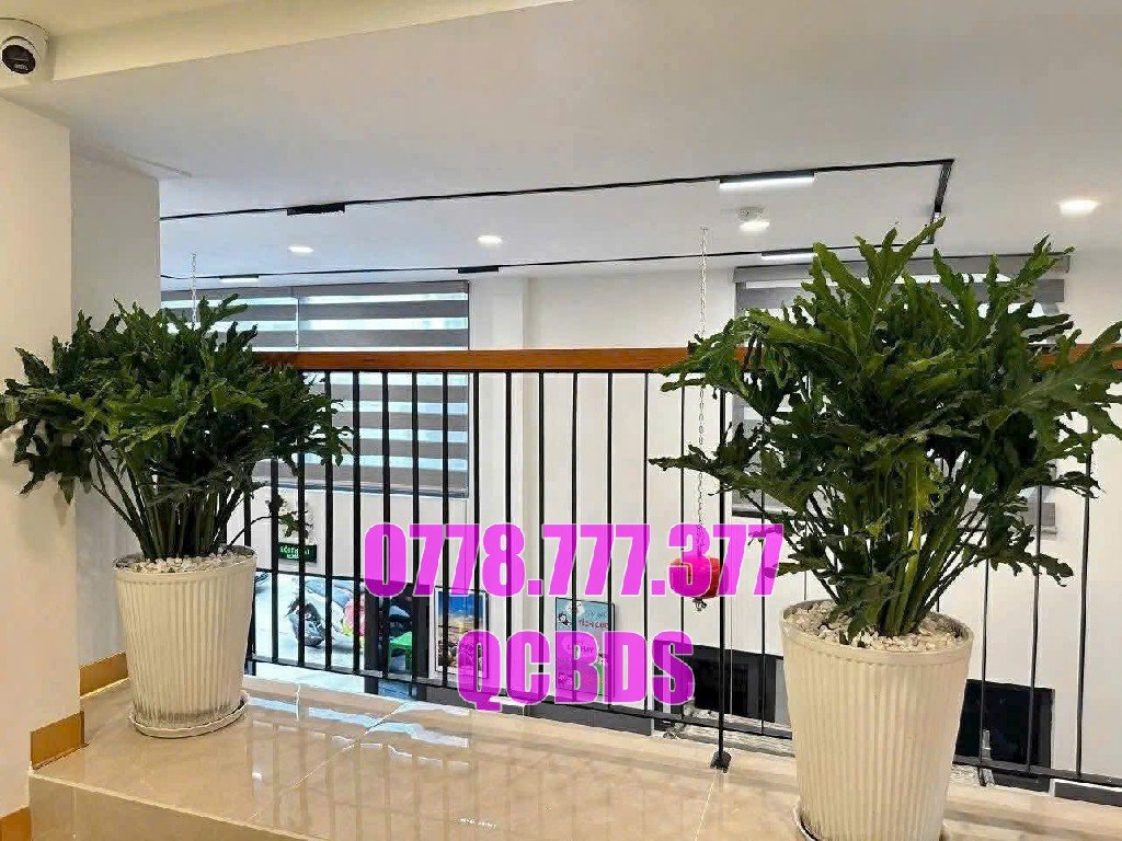 Bán Căn Hộ Dịch Vụ 40A Tôn Thất Tùng Phường Bến Thành Quận 1 55 định giá nhà 40a tôn thất tùng bến thành quận 1