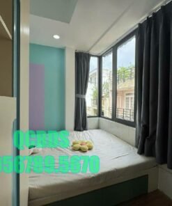 Bán nhà 252/57C Cao Thắng Quận 10 - 60 mét vuông 3 lầu - Ảnh 2