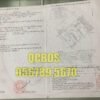 Bán nhà 266/82/50 Tô Hiến Thành Quận 10 - 100 mét vuông 5 lầu