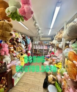Bán nhà 413A Nguyễn Tri Phương Quận 10 - 32 mét vuông 4 lầu 45 Bán nhà 413A Nguyễn Tri Phương Quận 10 - 32 mét vuông 4 lầu - Ảnh 2