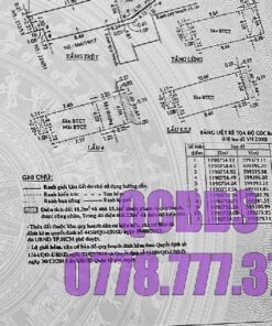 Bán nhà 666/59/26 3 Tháng 2 Quận 10 - 64 mét vuông 6 lầu 25 Bán nhà 666/59/26 3 Tháng 2 Quận 10 - 64 mét vuông 6 lầu - Ảnh 3