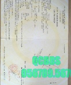 Bán nhà 70 Nguyễn Giản Thanh Quận 10 41 Bán nhà 70 Nguyễn Giản Thanh Quận 10 - Ảnh 13