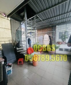 Bán nhà 134/6 Thành Thái Quận 10 - 68 mét vuông 5 lầu - Ảnh 5