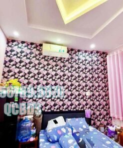 Bán nhà SSA1 Hồng Lĩnh Quận 10 - 40 mét vuông 5 lầu - Ảnh 18