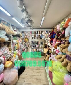 Bán nhà 413A Nguyễn Tri Phương Quận 10 - 32 mét vuông 4 lầu 53 Bán nhà 413A Nguyễn Tri Phương Quận 10 - 32 mét vuông 4 lầu - Ảnh 10