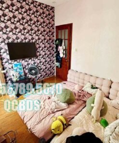 Bán nhà SSA1 Hồng Lĩnh Quận 10 - 40 mét vuông 5 lầu - Ảnh 13