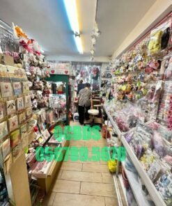 Bán nhà 413A Nguyễn Tri Phương Quận 10 - 32 mét vuông 4 lầu 46 Bán nhà 413A Nguyễn Tri Phương Quận 10 - 32 mét vuông 4 lầu - Ảnh 3
