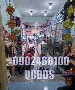 Bán nhà 202 Thành Thái Quận 10 - 60 mét vuông 5 lầu 42 Bán nhà 202 Thành Thái Quận 10 - 60 mét vuông 5 lầu - Ảnh 5