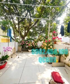 Bán nhà 269 Ngô Quyền Quận 10 - 47 mét vuông 6 lầu - Ảnh 10