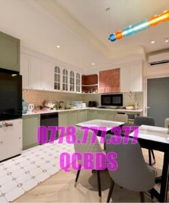 Bán nhà 243/9/12E3 Tô Hiến Thành Quận 10 - 80 mét vuông 5 lầu - Ảnh 6