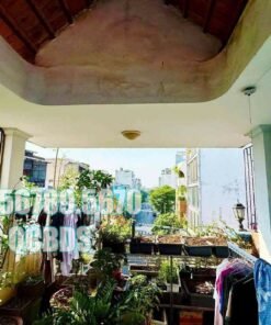 Bán nhà SSA1 Hồng Lĩnh Quận 10 - 40 mét vuông 5 lầu - Ảnh 6