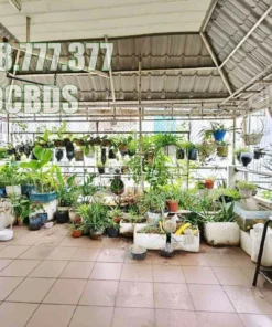 Bán nhà hẻm 123/6/1 Bà Hạt Quận 10 - 38 mét vuông 4 lầu 45 Bán nhà hẻm 123/6/1 Bà Hạt Quận 10 - 38 mét vuông 4 lầu - Ảnh 14