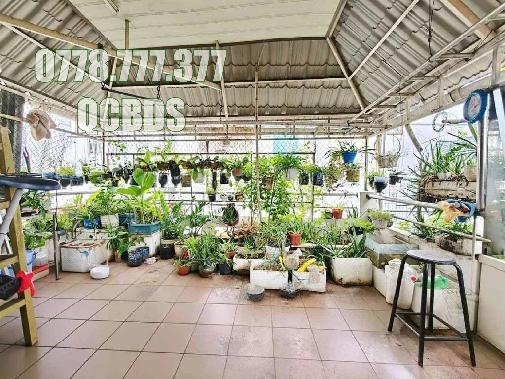 Bán nhà hẻm 123/6/1 Bà Hạt Quận 10 - 38 mét vuông 4 lầu 51 123 6 1 ba hat cau thang chac chan.jpg