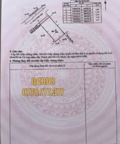 Bán nhà 156/7E/6 Tô Hiến Thành Quận 10 - 61 mét vuông 4 lầu - Ảnh 12