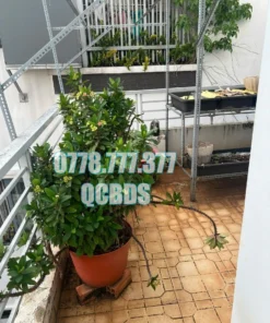 Bán nhà 185/23A 3 Tháng 2 Quận 10 - 57 mét vuông 3 lầu - Ảnh 12