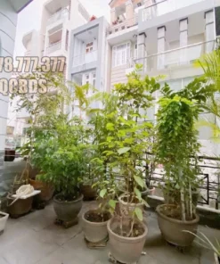 Bán nhà 268/33 Nguyễn Tiểu La Quận 10 - 45 mét vuông 3 lầu 34 Bán nhà 268/33 Nguyễn Tiểu La Quận 10 - 45 mét vuông 3 lầu - Ảnh 6