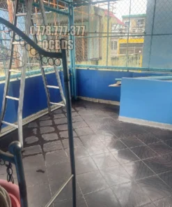 Bán nhà 300/6 Hòa Hảo Quận 10 - 54 mét vuông 4 lầu - Ảnh 6