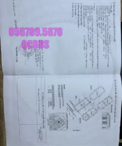 Bán nhà 343/2E Tô Hiến Thành Quận 10 - 35 mét vuông 5 lầu 51 Bán nhà 343/2E Tô Hiến Thành Quận 10 - 35 mét vuông 5 lầu - Ảnh 4