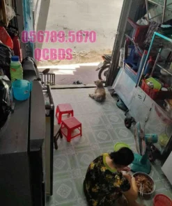 Bán nhà 438/11 Ngô Gia Tự Quận 10 - 21 mét vuông 4 lầu 49 Bán nhà 438/11 Ngô Gia Tự Quận 10 - 21 mét vuông 4 lầu - Ảnh 12