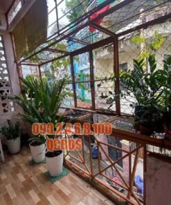 Bán nhà 46/10 Trần Nhân Tôn Quận 10 - 65 mét vuông 3 lầu - Ảnh 9