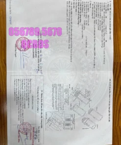 Bán nhà 601/12/8 CMT8 Quận 10 - 53 mét vuông 4 lầu - Ảnh 15