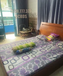 Bán nhà 300/6 Hòa Hảo Quận 10 - 54 mét vuông 4 lầu - Ảnh 10