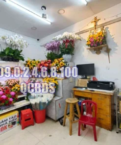 Bán nhà 72 Thành Thái Quận 10 - 20 mét vuông 4 lầu 19 Bán nhà 72 Thành Thái Quận 10 - 20 mét vuông 4 lầu - Ảnh 5