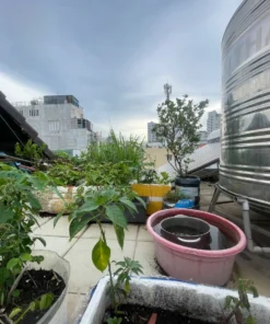 Bán nhà 232/17 Cao Thắng Quận 10 - 36 mét vuông 5 lầu - Ảnh 7