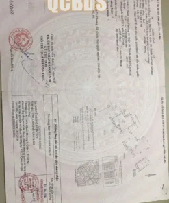 Bán nhà hẻm 101/41/4 Thành Thái Quận 10 - 43 mét vuông 4 lầu - Ảnh 7