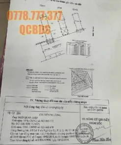 Bán nhà 3/38/6 Thành Thái Quận 10 - 53 mét vuông 3 lầu - Ảnh 8