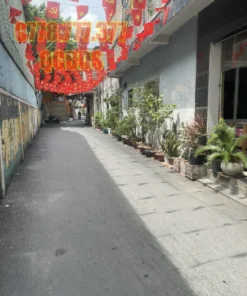 Bán nhà 3/38/6 Thành Thái Quận 10 - 53 mét vuông 3 lầu - Ảnh 15