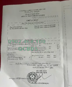 Bán nhà 343/18K Tô Hiến Thành Quận 10 - 39 mét vuông 5 lầu 23 Bán nhà 343/18K Tô Hiến Thành Quận 10 - 39 mét vuông 5 lầu - Ảnh 3