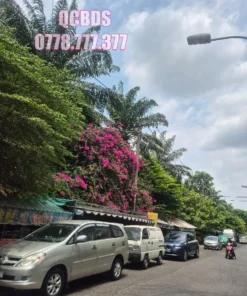 Bán căn hộ chung cư Lê Thị Riêng Quận 10 003 Tầng 1 Lô E - 66 mét vuông 2 lầu 57 Bán căn hộ chung cư Lê Thị Riêng Quận 10 003 Tầng 1 Lô E - 66 mét vuông 2 lầu - Ảnh 17