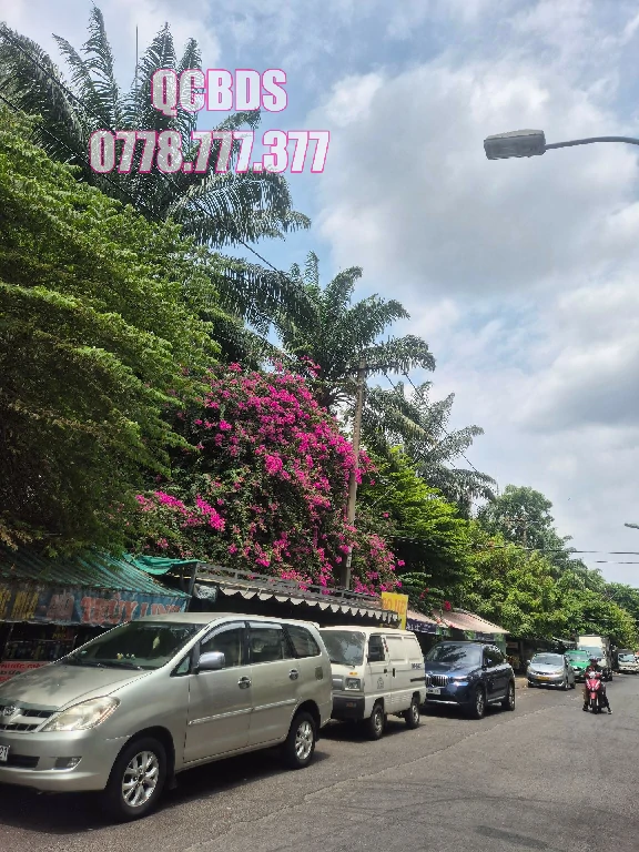Bán căn hộ chung cư Lê Thị Riêng Quận 10 003 Tầng 1 Lô E - 66 mét vuông 2 lầu 77 chung cu le thi rieng tang 1 lo e via he 5m.jpg