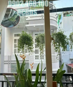 Bán nhà hẻm 1/11 Hồ Thị Kỷ Quận 10 - 23 mét vuông 5 lầu 42 Bán nhà hẻm 1/11 Hồ Thị Kỷ Quận 10 - 23 mét vuông 5 lầu - Ảnh 9