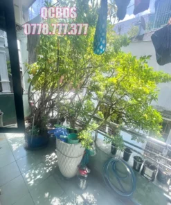 Bán nhà hẻm 651/8A Điện Biên Phủ Quận 10 - 38 mét vuông 5 lầu 26 Bán nhà hẻm 651/8A Điện Biên Phủ Quận 10 - 38 mét vuông 5 lầu - Ảnh 2