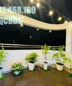 Bán nhà hẻm 1/11 Hồ Thị Kỷ Quận 10 - 23 mét vuông 5 lầu 47 Bán nhà hẻm 1/11 Hồ Thị Kỷ Quận 10 - 23 mét vuông 5 lầu - Ảnh 14