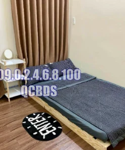 Bán nhà 285/83/5 CMT8 Quận 10 - 24 mét vuông 4 lầu - Ảnh 11