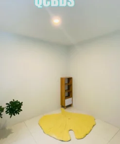 Bán nhà hẻm Hoà Hưng 83/29F Hòa Hưng Quận 10 - 52 mét vuông 2 lầu 35 Bán nhà hẻm Hoà Hưng 83/29F Hòa Hưng Quận 10 - 52 mét vuông 2 lầu - Ảnh 4